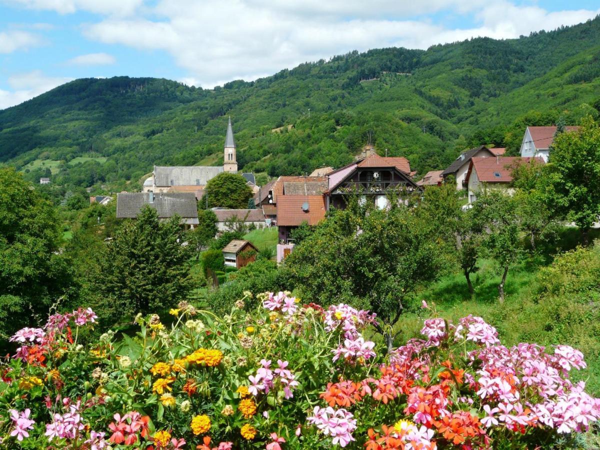 Appartement Béthanie Steige Esterno foto